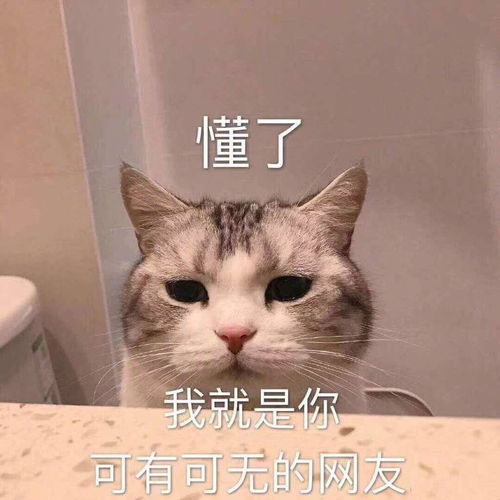 微信朋友圈能评论表情包了,来斗图啊
