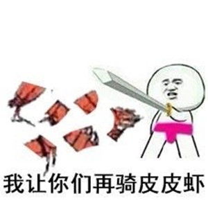 我可能骑了假的皮皮虾表情包