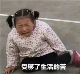 目前,柬漂们没有容易二字
