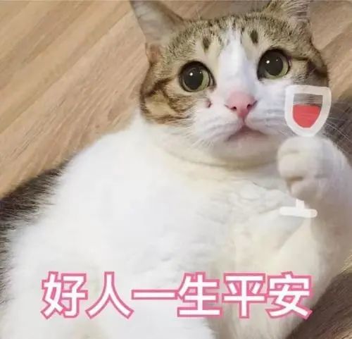 花园猫表情包好人一生平安