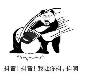 塔吊表情包图片大全不缺