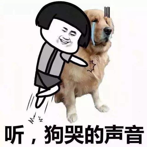 千万别看这些人的朋友圈,大半夜笑出猪叫哈哈哈哈哈哈哈哈哈哈哈哈哈哈哈