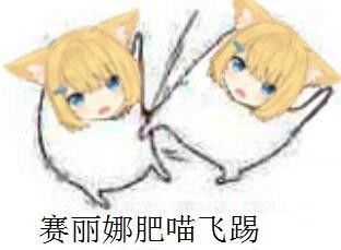 哔哩哔哩专栏