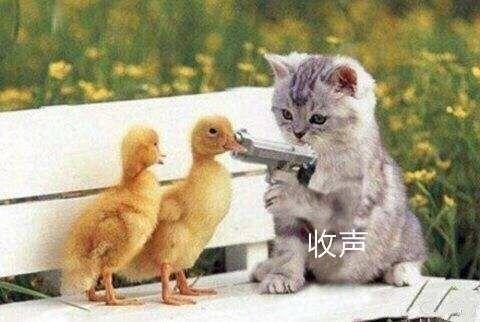 有没有类似这种的可爱表情包