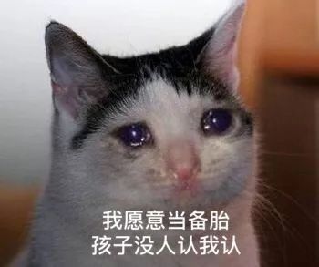 最具争议舔狗表情包终于来了,你支持哪方