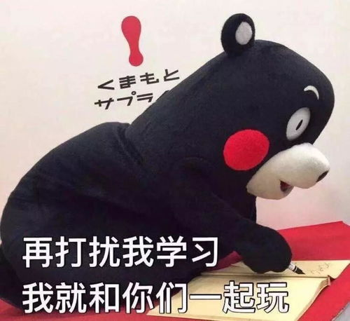 接住表情包学习