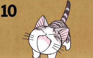 甜甜私房猫电脑桌面壁纸