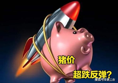 5月12日,猪价跌惨行情跳水,猪价濒临成本线,上涨潮来袭