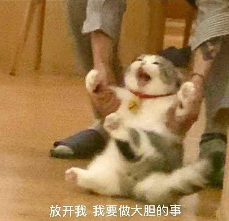 搜狐网