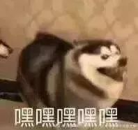 狗子嚣张表情包