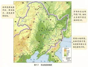 东北,你咋这么招人稀罕呢