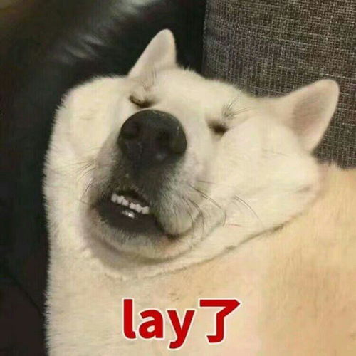 拥有一辆保时捷是什么感觉