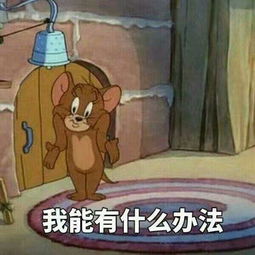 最近迷上了猫和老鼠