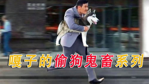 嘎子鬼畜偷狗集锦,画面过于魔性洗脑,鬼畜大佬这波拿捏了