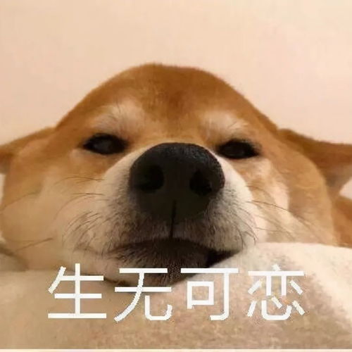 数据产品新人的三大有毒问题,你犯了吗