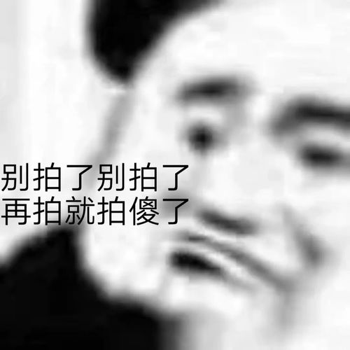 你有莫有什么关于拍一拍的表情包