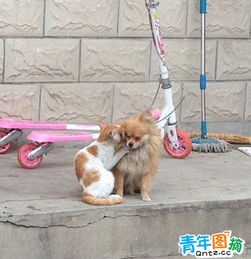 爆笑图集一想到你呀,就让我高潮