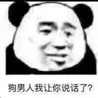 表情包还是沙雕熊猫头好使