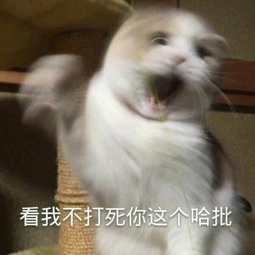教授被乌鸦袭击了第二天把小老师们叫去打乌鸦