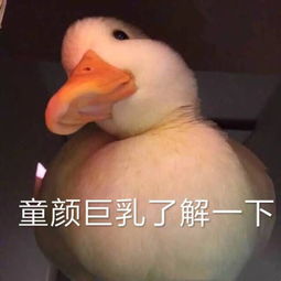 你眼中的巨蟹座有什么特质