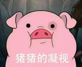 剃头文身交同性密友20岁的窦靖童活成了你不敢活的样子,注定要超越王菲