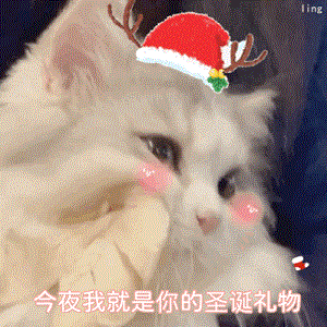 抖音我的圣诞礼物呢表情包高清原图抖音我的圣诞礼物呢表情包原图分享