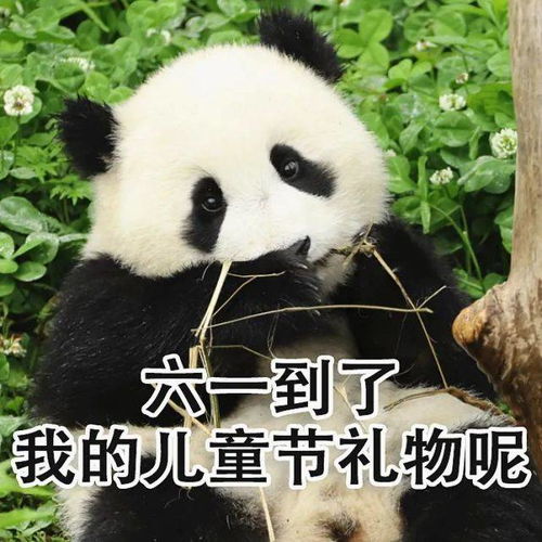 超萌儿童节专属熊猫表情包,速来拿图
