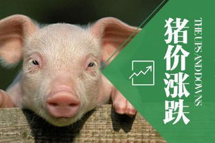 仔猪价格2019.1.11今日最新仔猪价格,仔猪价格上涨中,快补栏