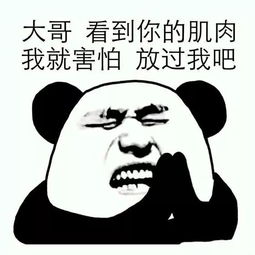朋友圈最骚的肌肉男,是他