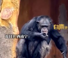 滚动