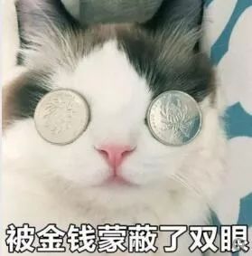 夸夸群