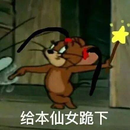 人在社会飘,怎能没有表情包