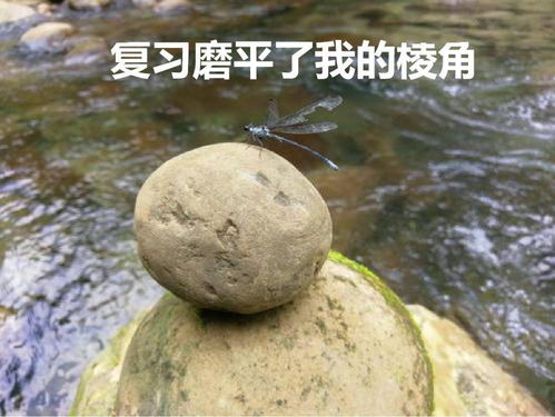 一大波地理网红表情包来袭,寒假用它来斗图吧
