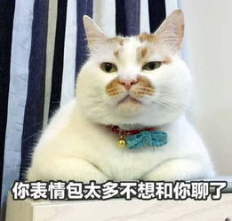 高清无水印动物萌宠专用表情你表情包太多了,不想和你聊了