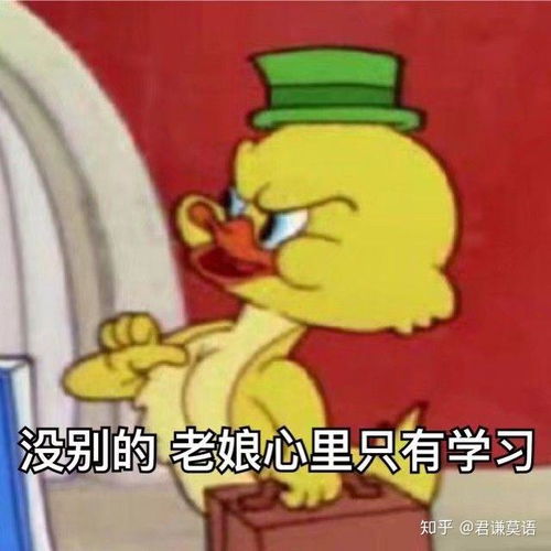 黄皮耗子表情包沙雕