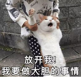 iphonex将停产抄底价雷军晋升十大富豪小米股票大涨