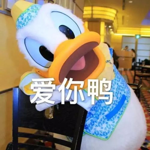 香蜜园中勤基人,静思林里静思行