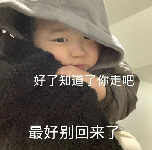 无标题