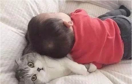 宝宝睡觉爱翻身,一不小心就靠在了猫咪身上,猫咪表情亮了