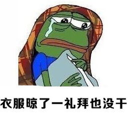 回南天表情包无水印一览南方春天潮湿天气图片