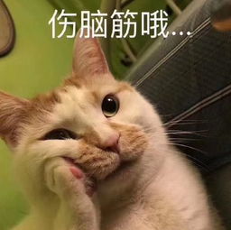 转发提醒,赶快让中老年人远离猫狗
