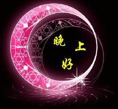 美女晚上好表情包表情