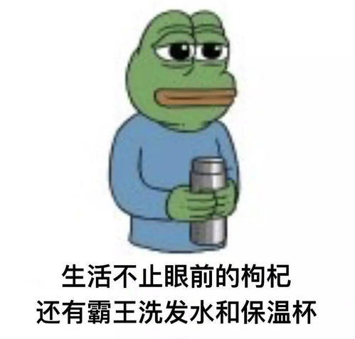 ,年龄大了,禁不起折腾了求一千一套左右的护肤品