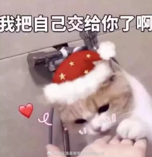圣诞的朋友圈文案和表情包,我都帮你准备好了