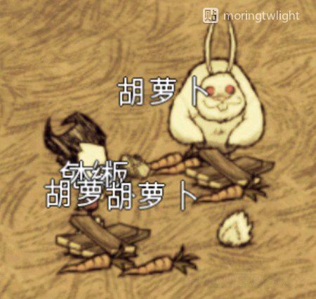 哔哩哔哩专栏