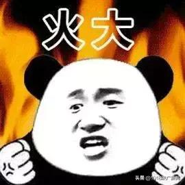 陕西省图书馆书籍被剪毁网友怒了