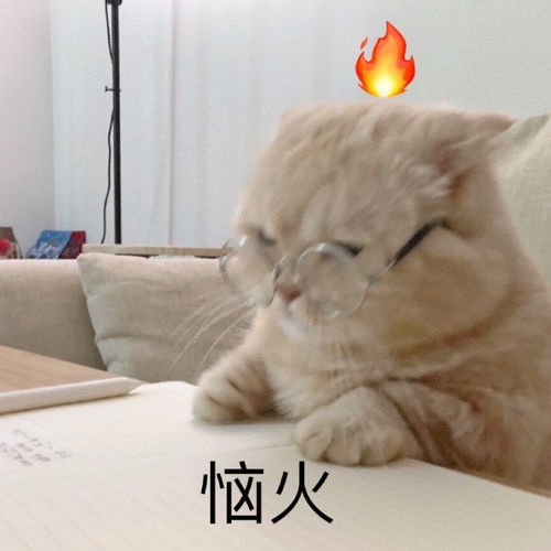 搞笑表情包是不是像极了学习时的你
