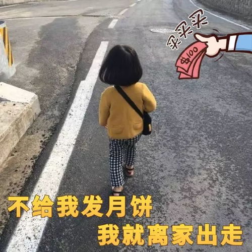 一波很实用的表情包