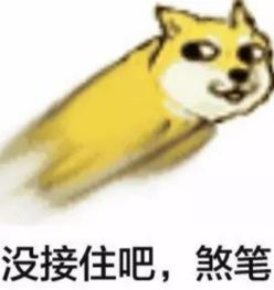 对方想你扔了一只狗表情包越多越好