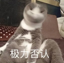 表情包你的人生肯定有着不可告人的秘密你给我等着,定会找你